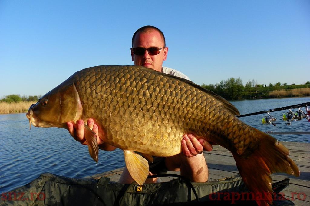 Trofeul tancabesti 2013 - 1010313.jpg